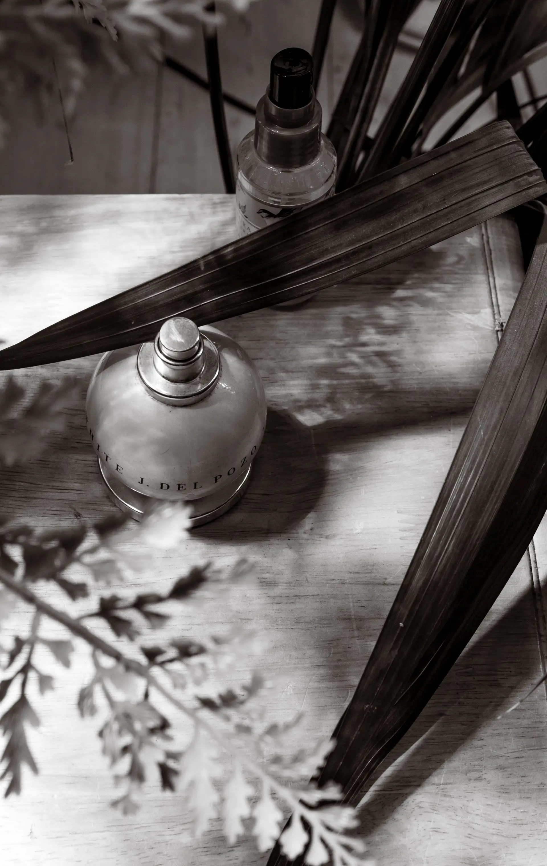 Botanical study of perfume