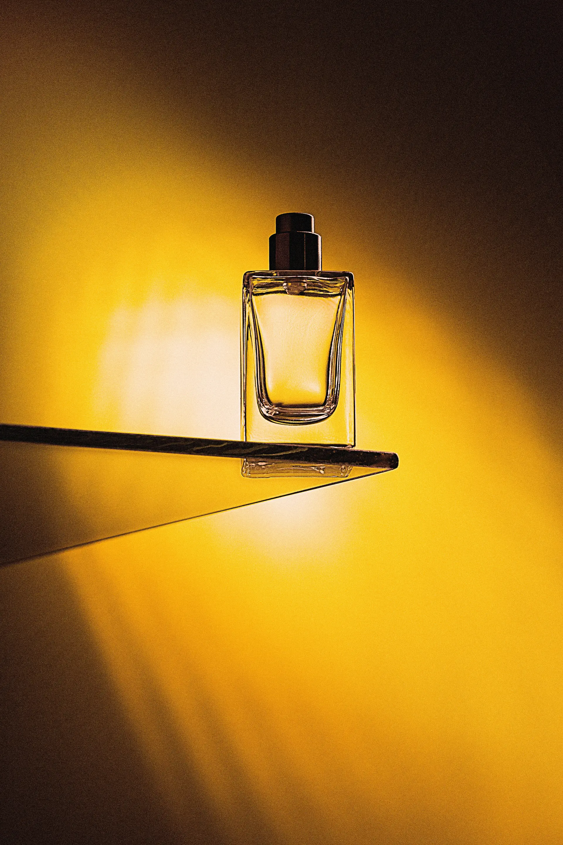 VelorianesSence studio still life