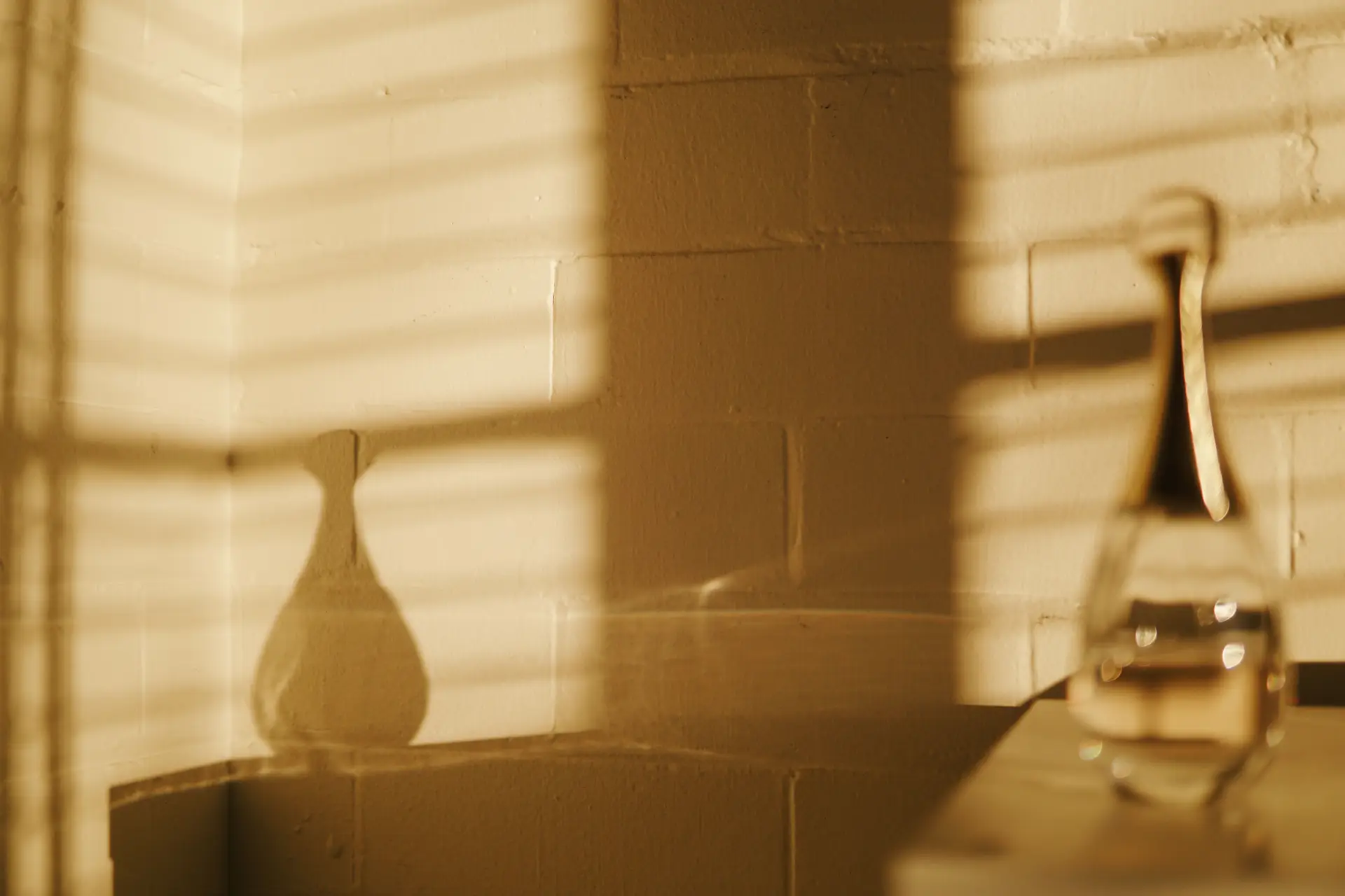 Glass bottle casting detailed shadows on a wall