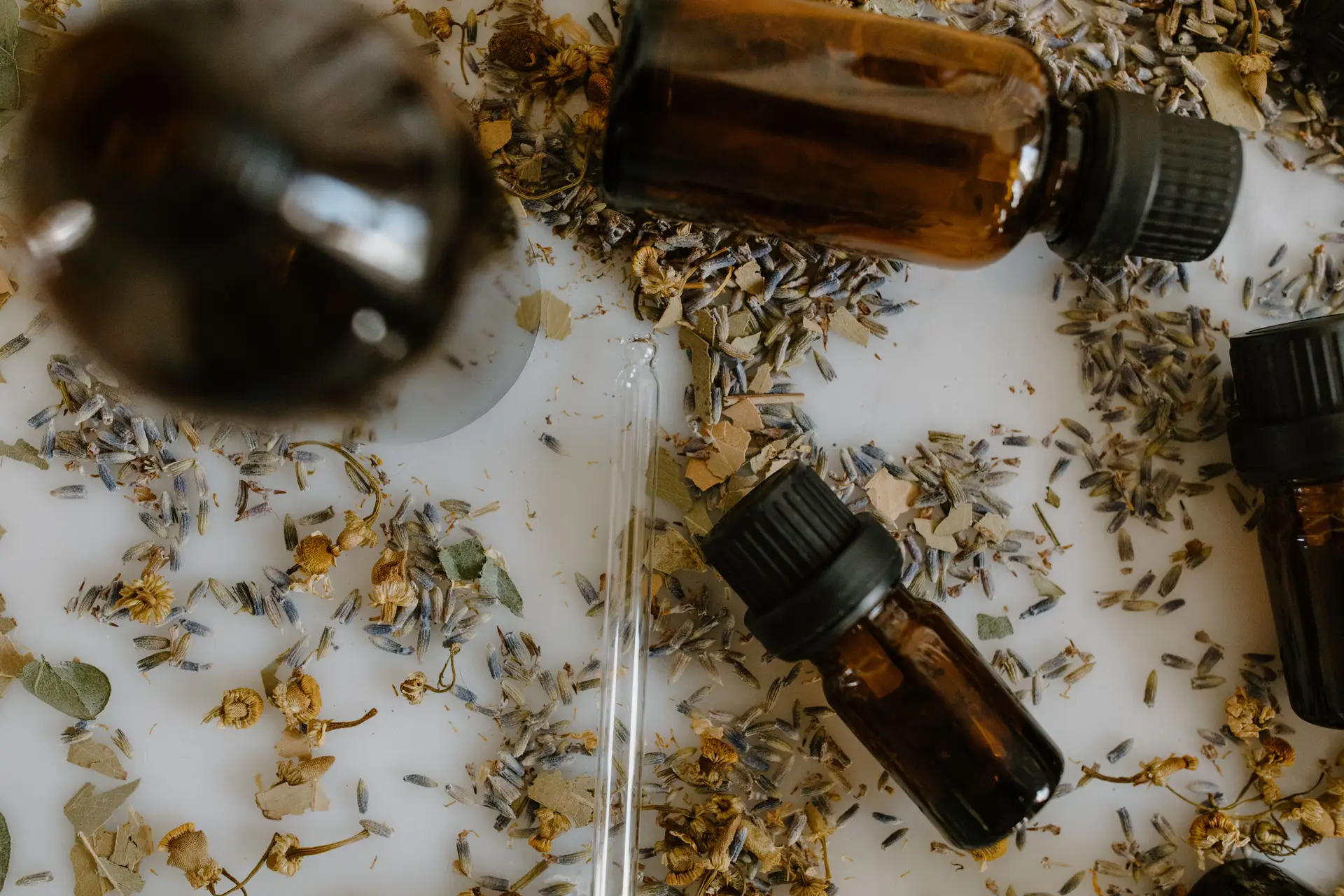 Exploring scent families